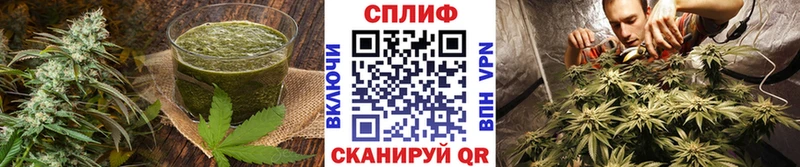 дарк нет наркотические препараты  Тобольск  Печенье с ТГК марихуана  закладки 