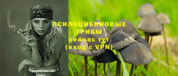 круглые Алзамай
