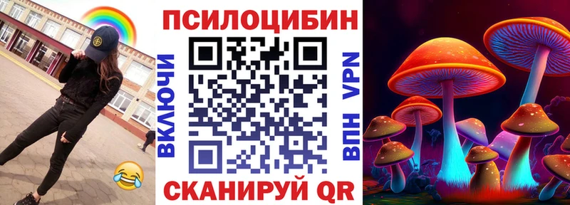 Псилоцибиновые грибы Psilocybine cubensis  Тобольск 