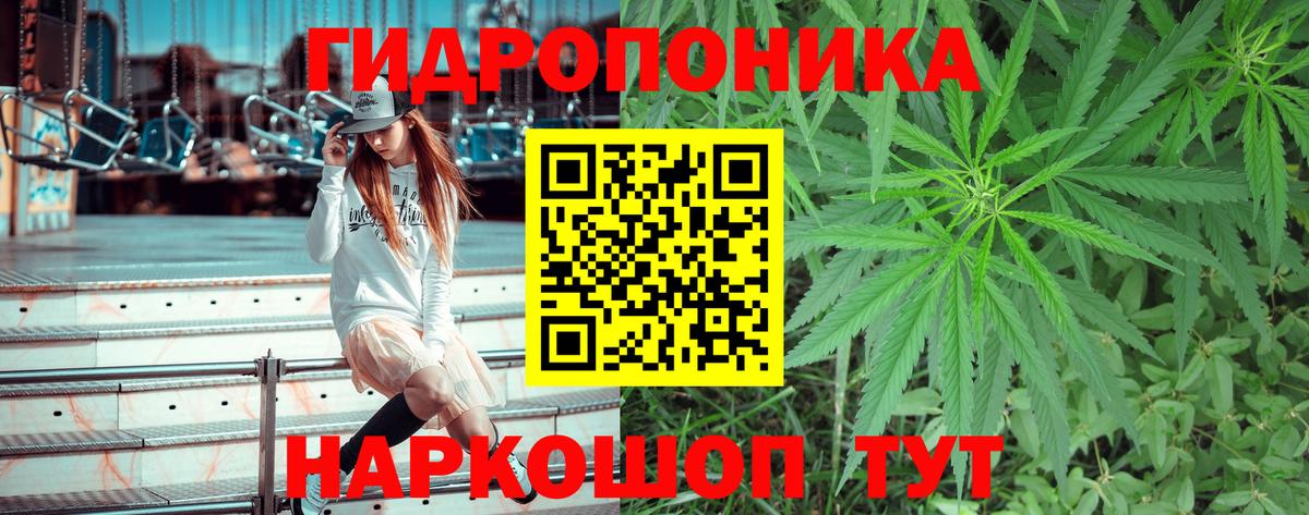 Тобольск  Канабис Ganja  Вход с VPN  Бошки марихуана планчик 
